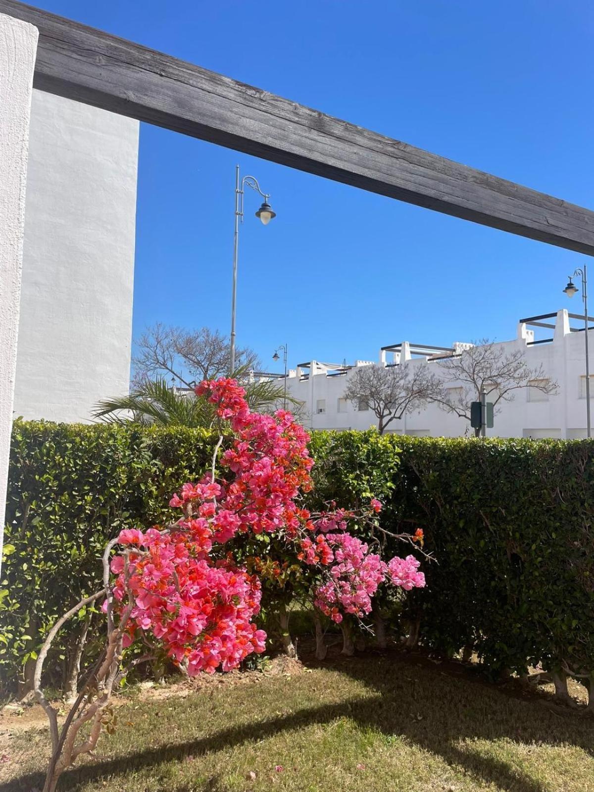 Apartmán Casa Luisa Jardin 10 Condado De Alhama Alhama de Murcia Exteriér fotografie
